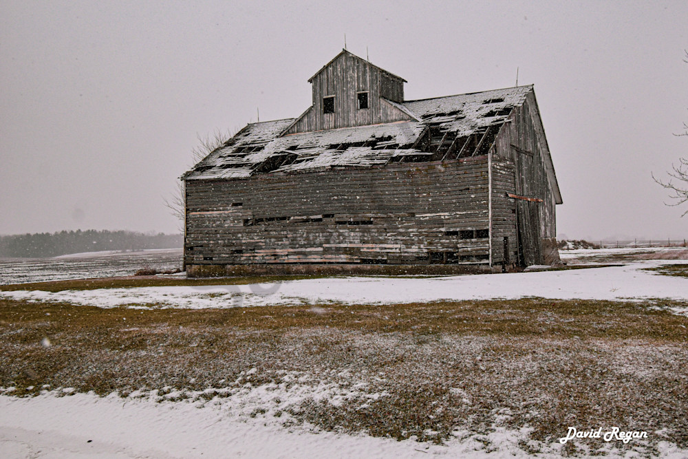 Dsc0033 6 Photography Art | Photos By Regan
