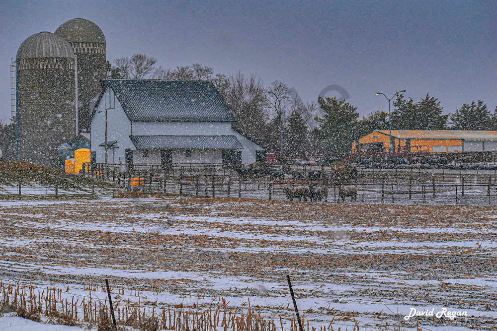 Dsc0027 5 Photography Art | Photos By Regan