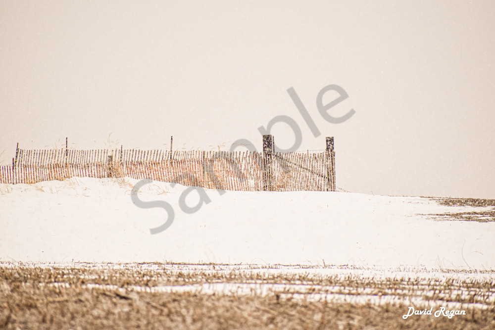 Dsc0012 14 Photography Art | Photos By Regan