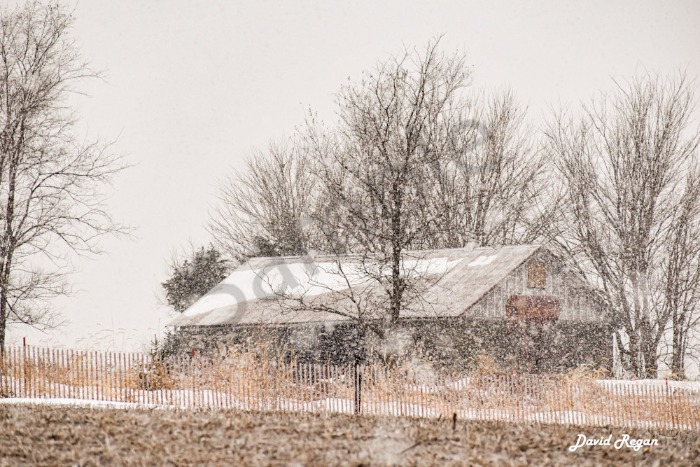 Dsc0009 10 Photography Art | Photos By Regan