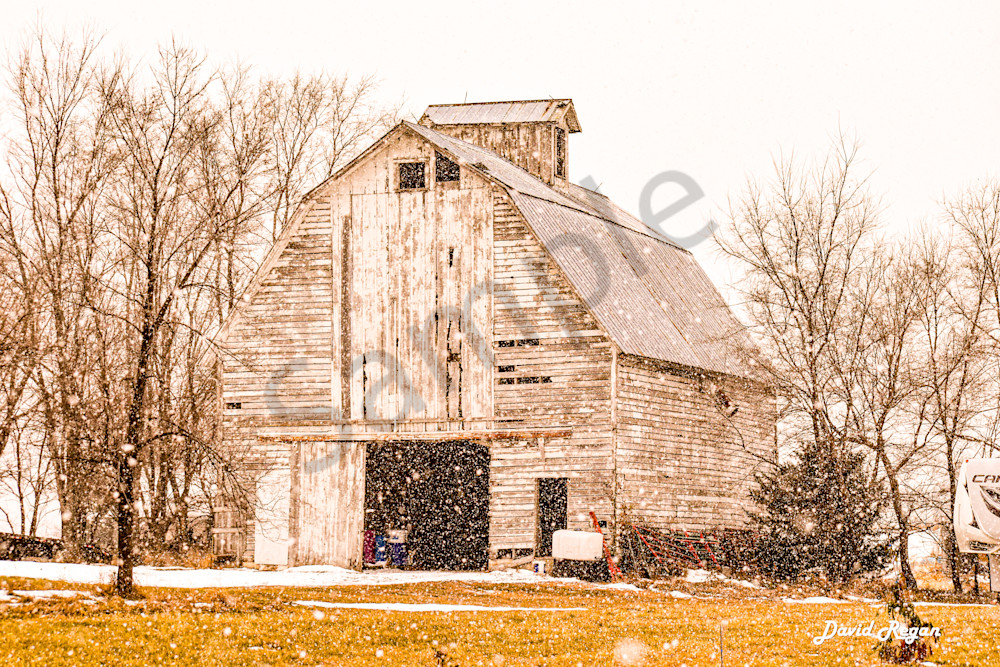 Dsc0014 11 Photography Art | Photos By Regan