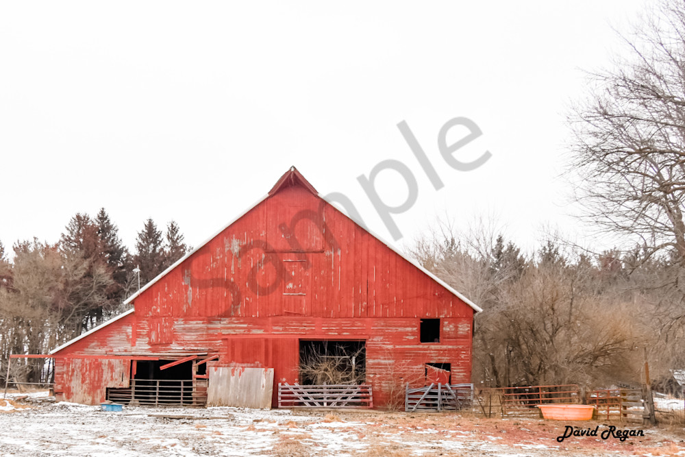 Dsc0197 Photography Art | Photos By Regan