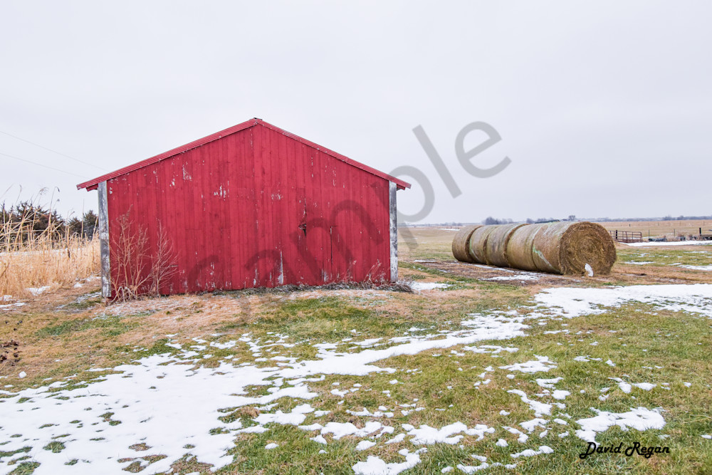 Dsc0202 3 Photography Art | Photos By Regan