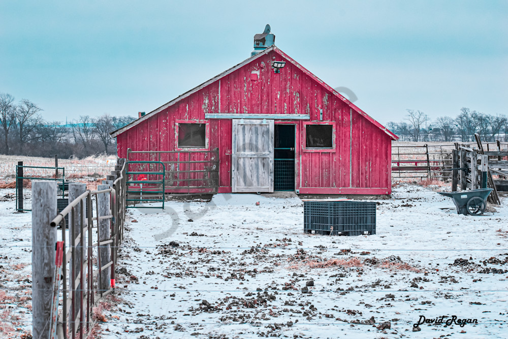 Dsc0283 Photography Art | Photos By Regan