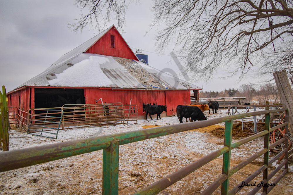 Dsc0191 Photography Art | Photos By Regan