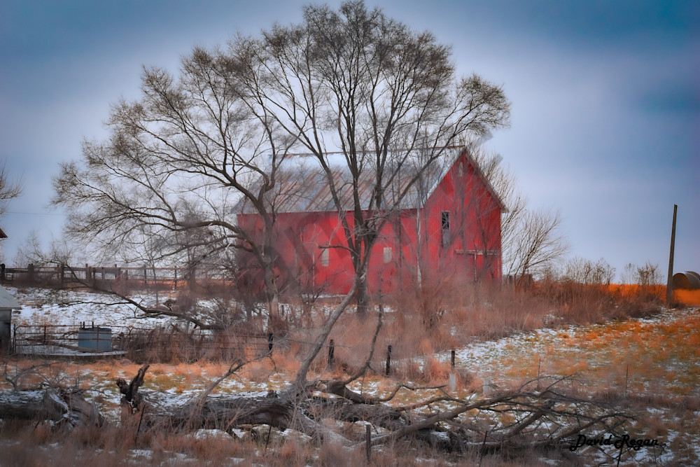 Dsc0244 Photography Art | Photos By Regan
