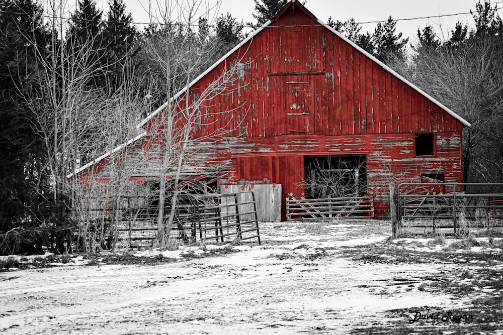 Dsc0188 Photography Art | Photos By Regan