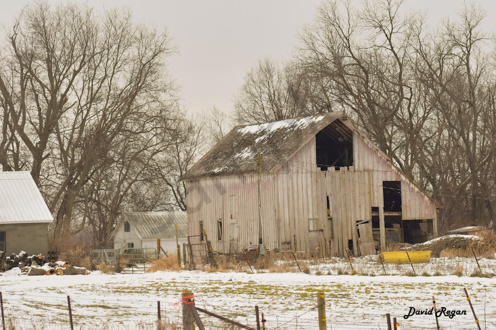 Dsc0218 2 Photography Art | Photos By Regan