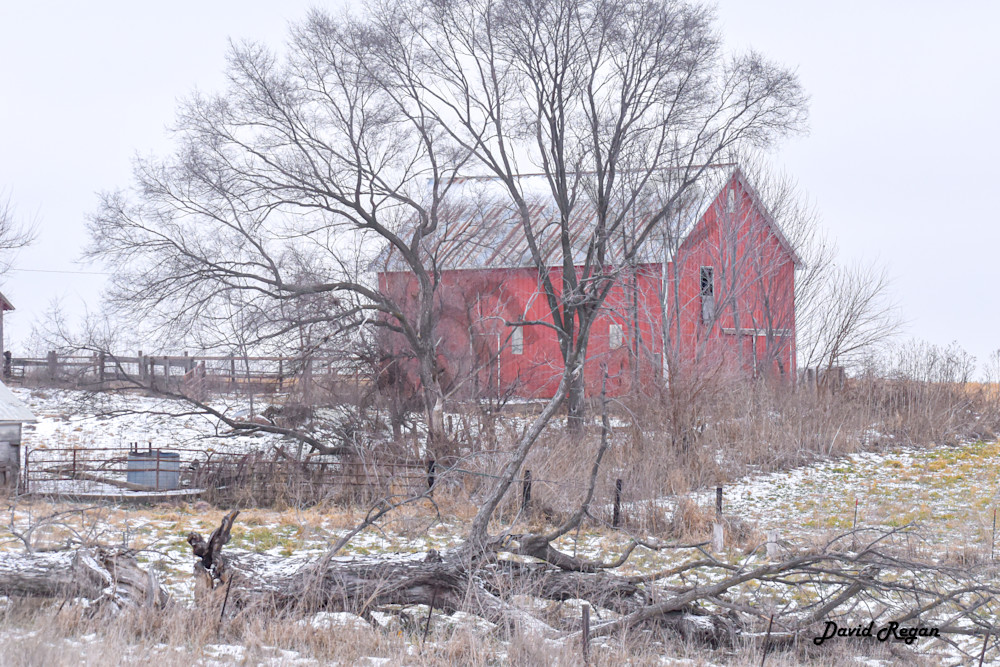 Dsc0245 Photography Art | Photos By Regan
