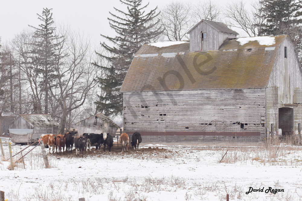 Dsc0221 Photography Art | Photos By Regan