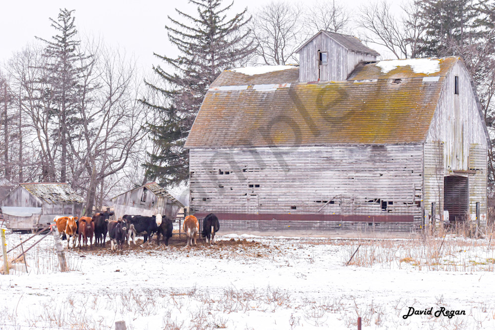 Dsc0223 2 Photography Art | Photos By Regan