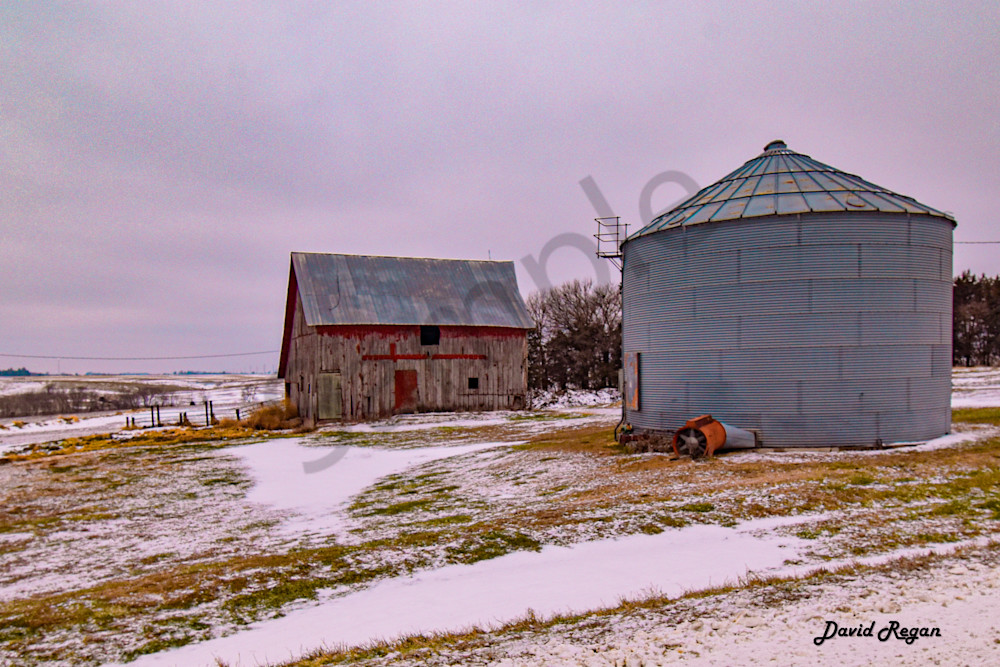 Dsc0256 Photography Art | Photos By Regan