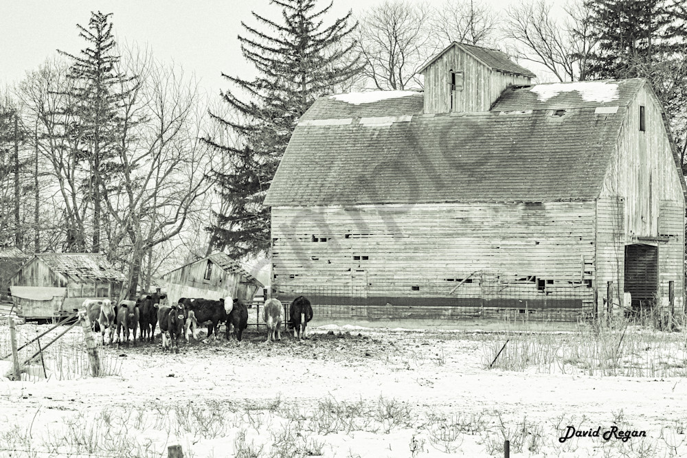 Dsc0222 Photography Art | Photos By Regan