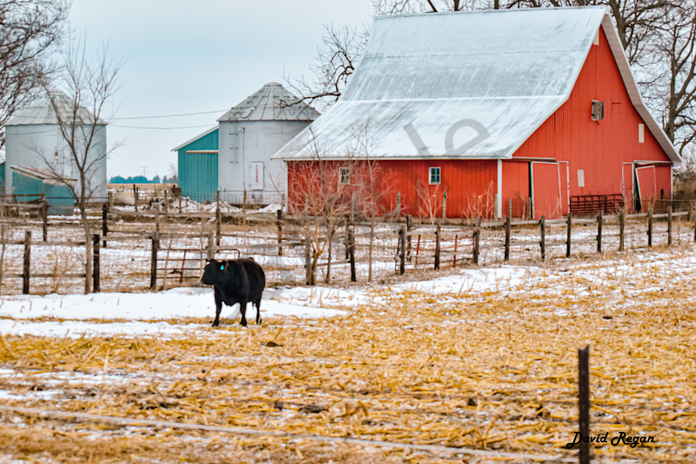 Dsc0261 Photography Art | Photos By Regan