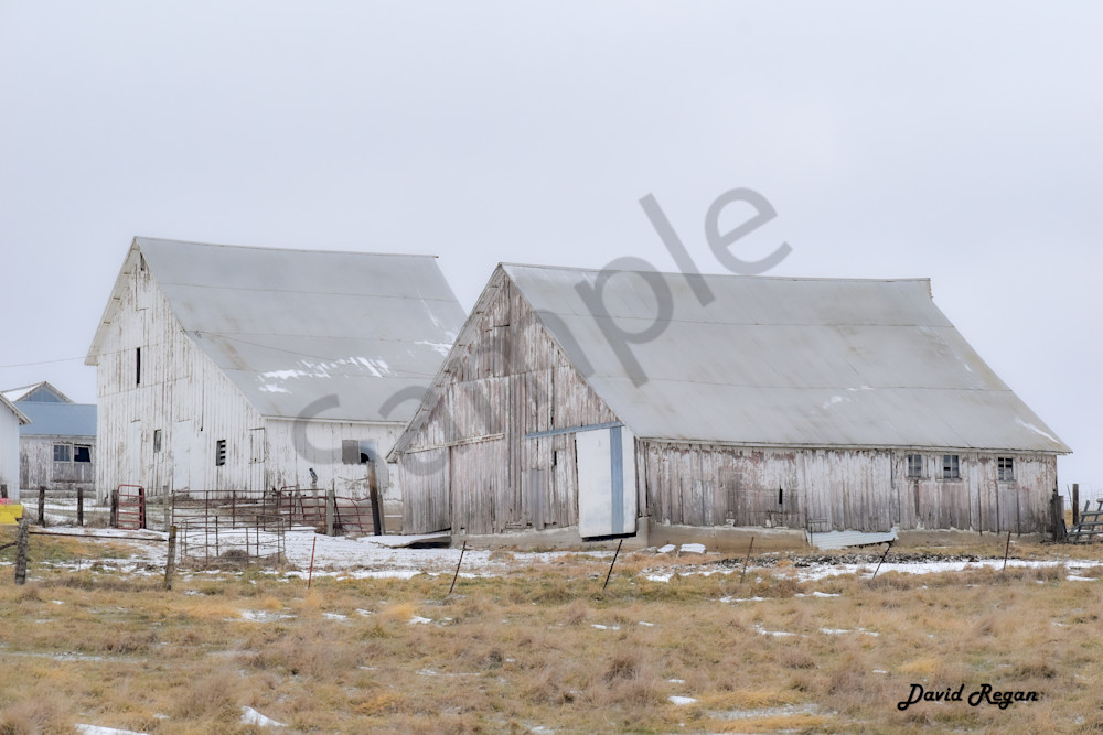 Dsc0249 Photography Art | Photos By Regan