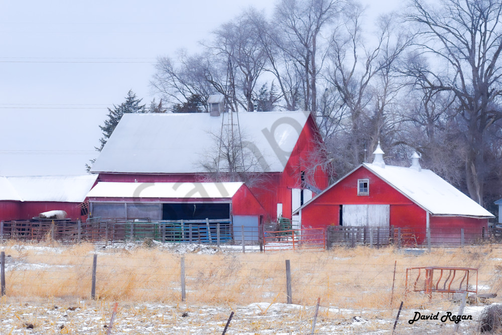 Dsc0269 Photography Art | Photos By Regan