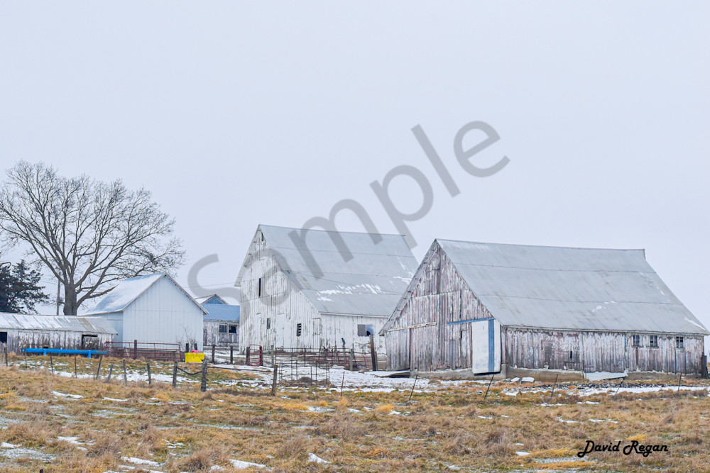 Dsc0246 Photography Art | Photos By Regan