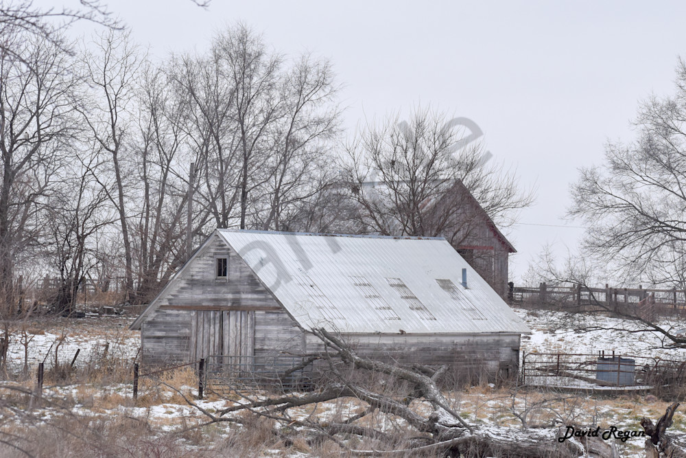 Dsc0236 Photography Art | Photos By Regan