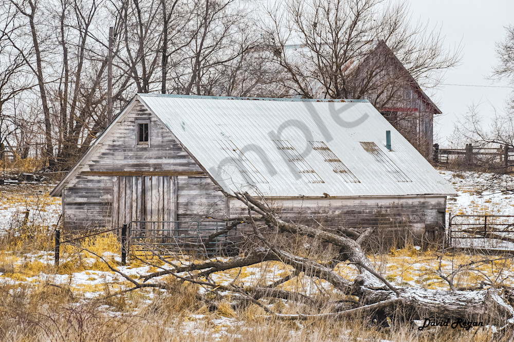 Dsc0240 Photography Art | Photos By Regan
