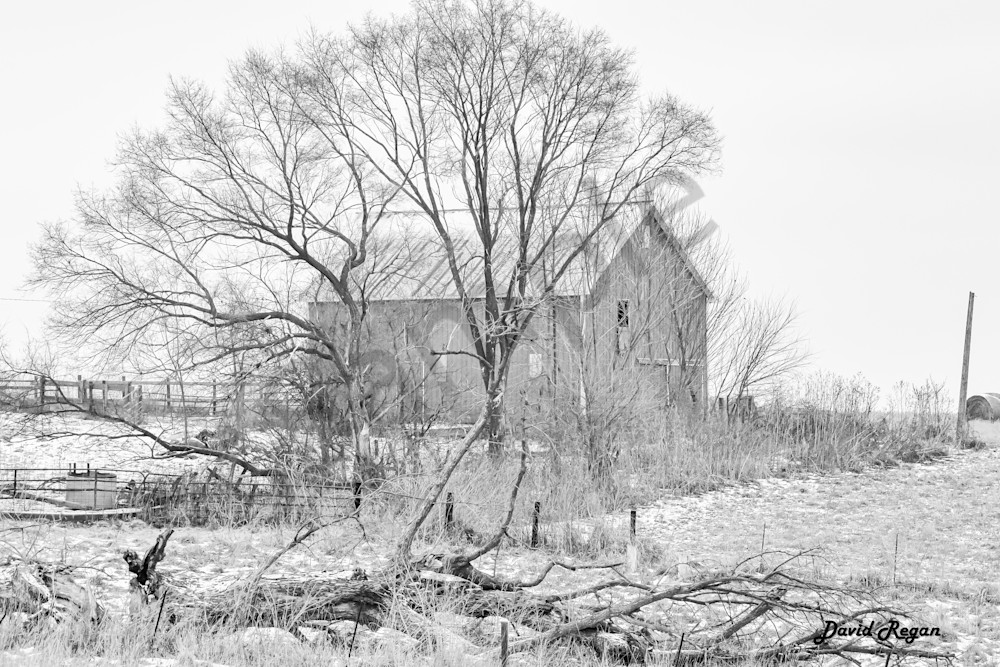 Dsc0234 Photography Art | Photos By Regan