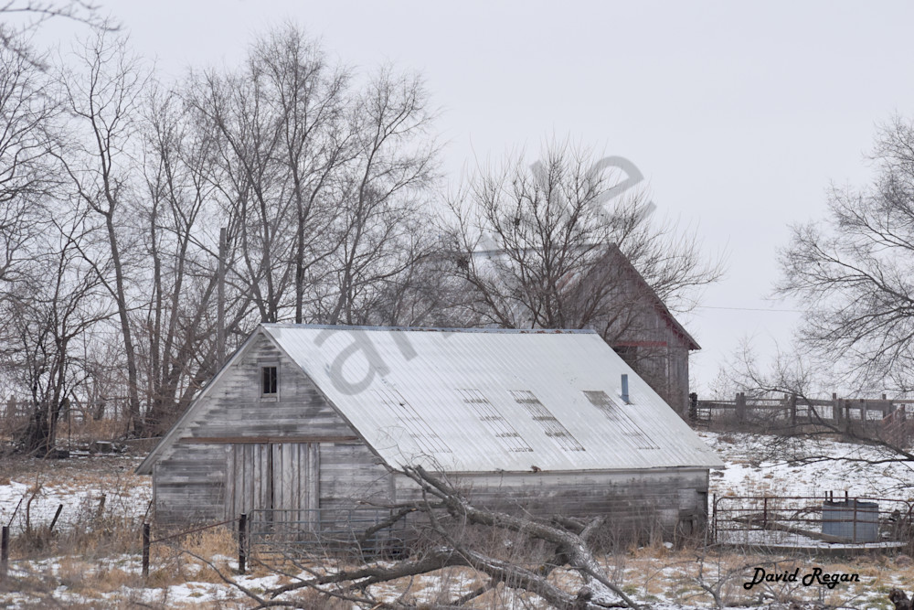Dsc0242 3 Photography Art | Photos By Regan