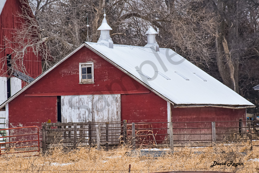 Dsc0271 Photography Art | Photos By Regan