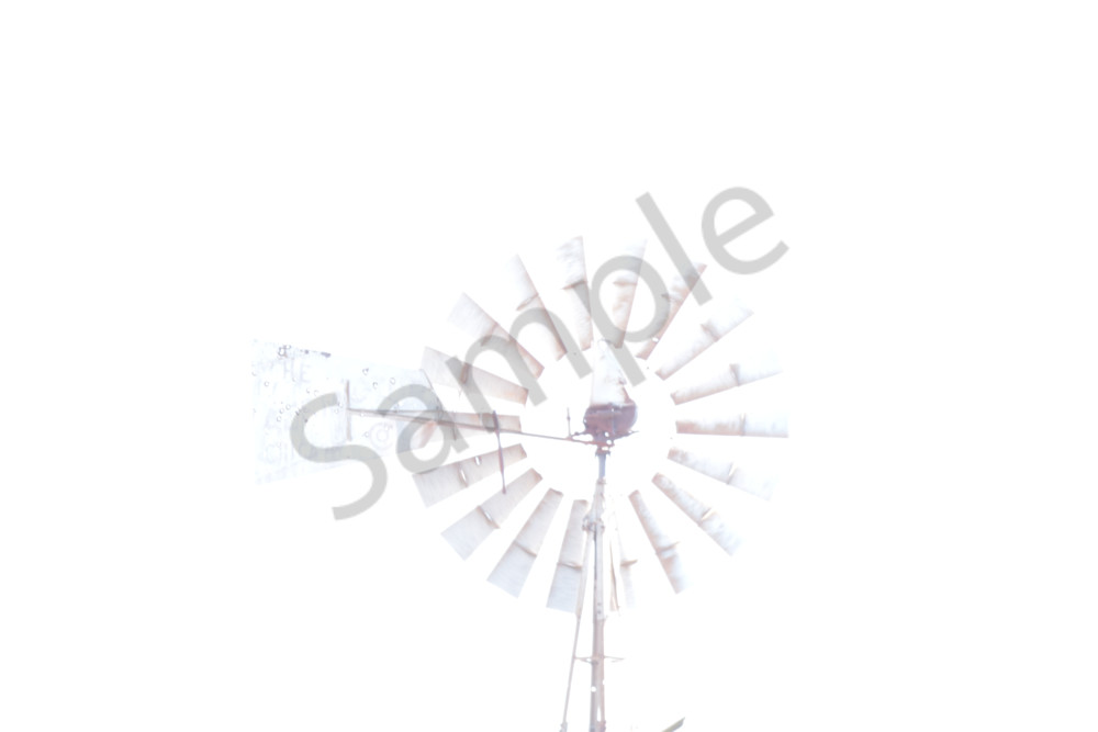 Dsc0111 4 Photography Art | Photos By Regan