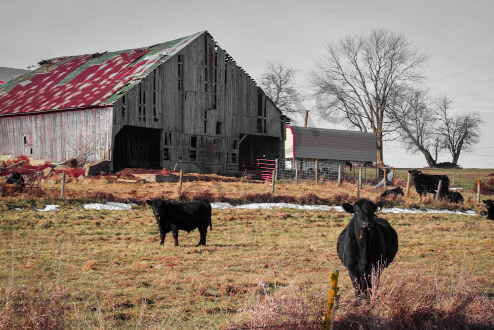 Dsc0102 2 Photography Art | Photos By Regan