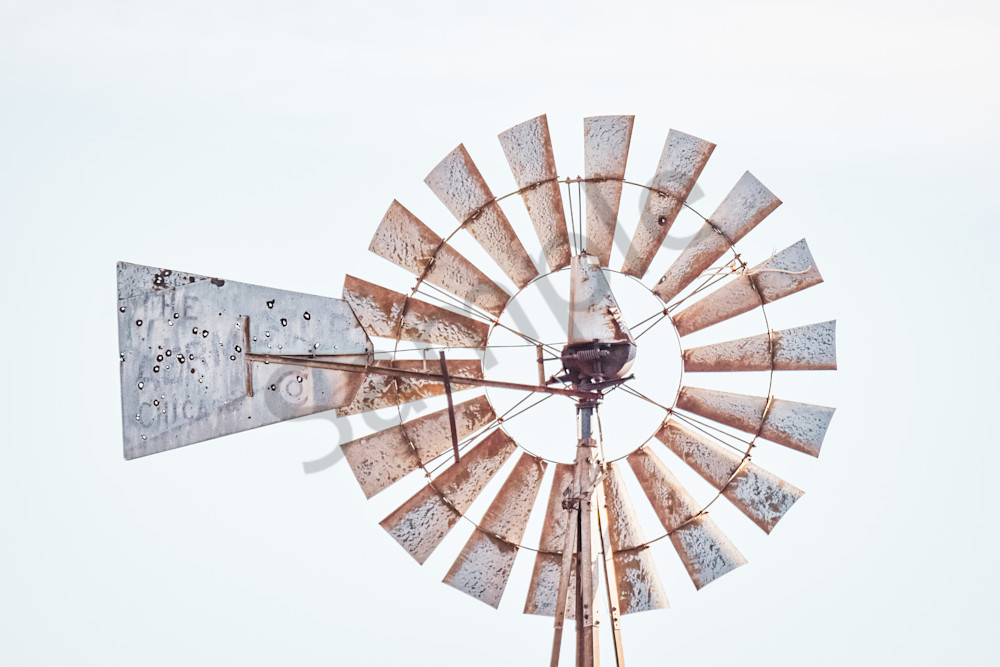 Dsc0108 4 Photography Art | Photos By Regan