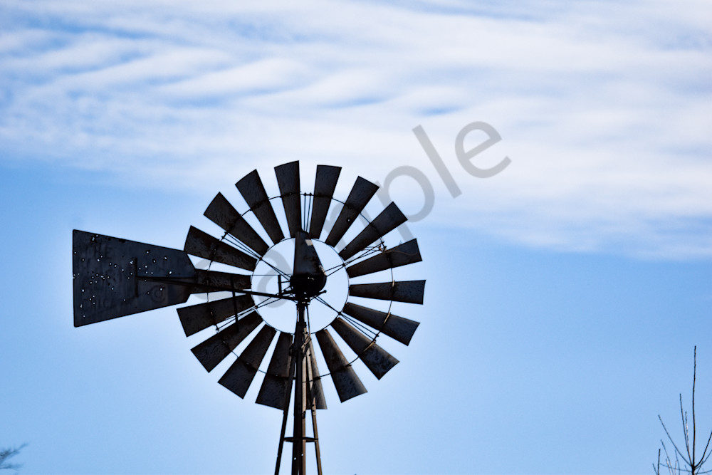 Dsc0109 Photography Art | Photos By Regan