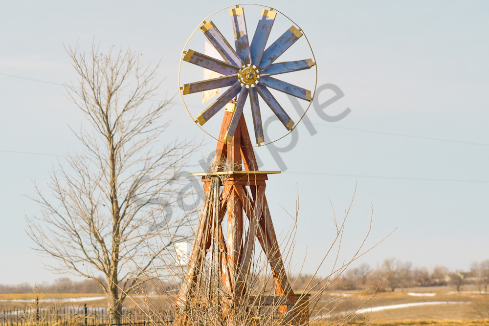 Dsc0146 3 Photography Art | Photos By Regan