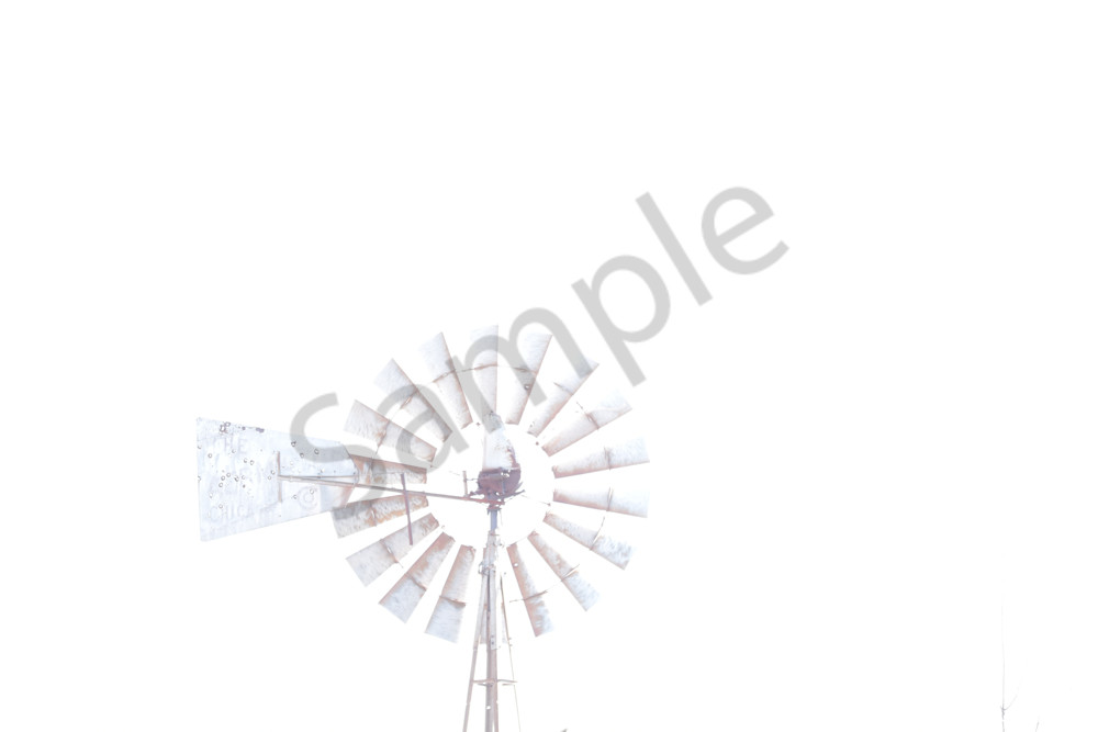 Dsc0113 3 Photography Art | Photos By Regan