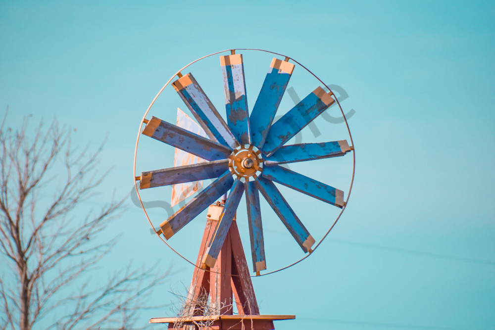 Dsc0148 Photography Art | Photos By Regan