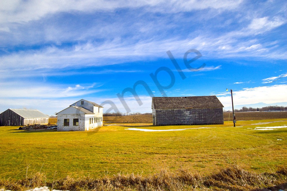 Dsc0004 9 Photography Art | Photos By Regan