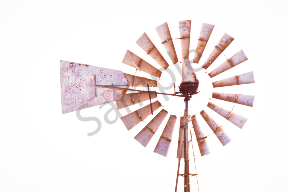 Dsc0116 4 Photography Art | Photos By Regan