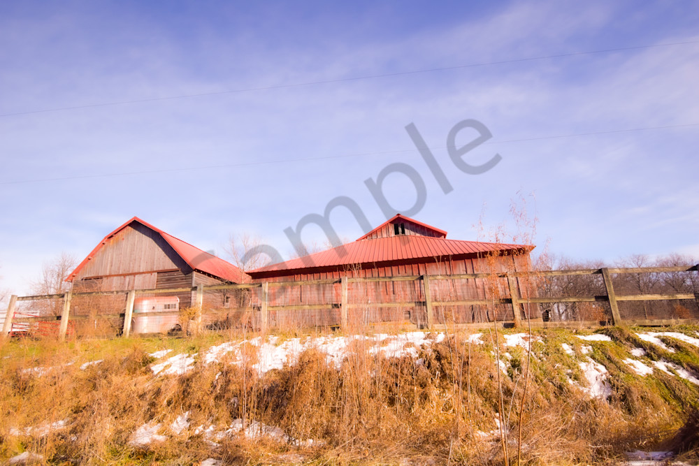 Dsc0118 Photography Art | Photos By Regan