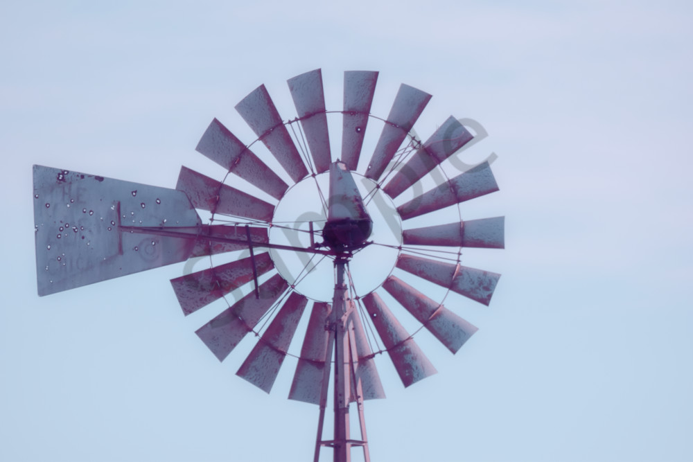 Dsc0117 3 Photography Art | Photos By Regan