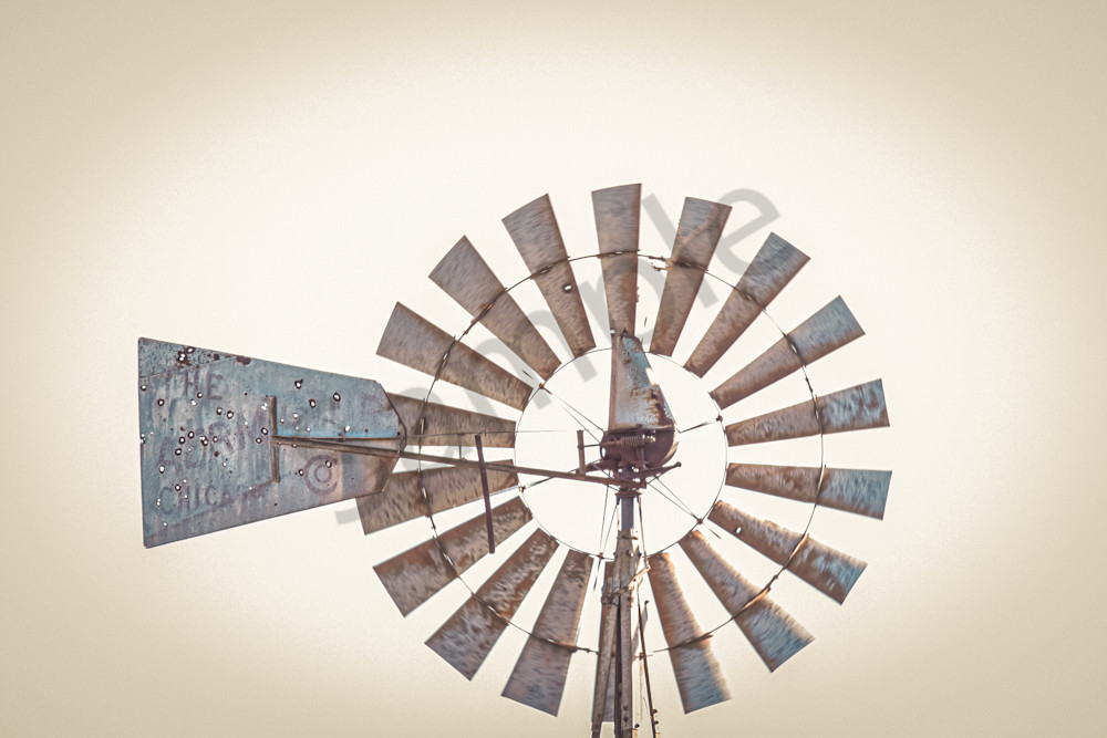 Dsc0115 3 Photography Art | Photos By Regan