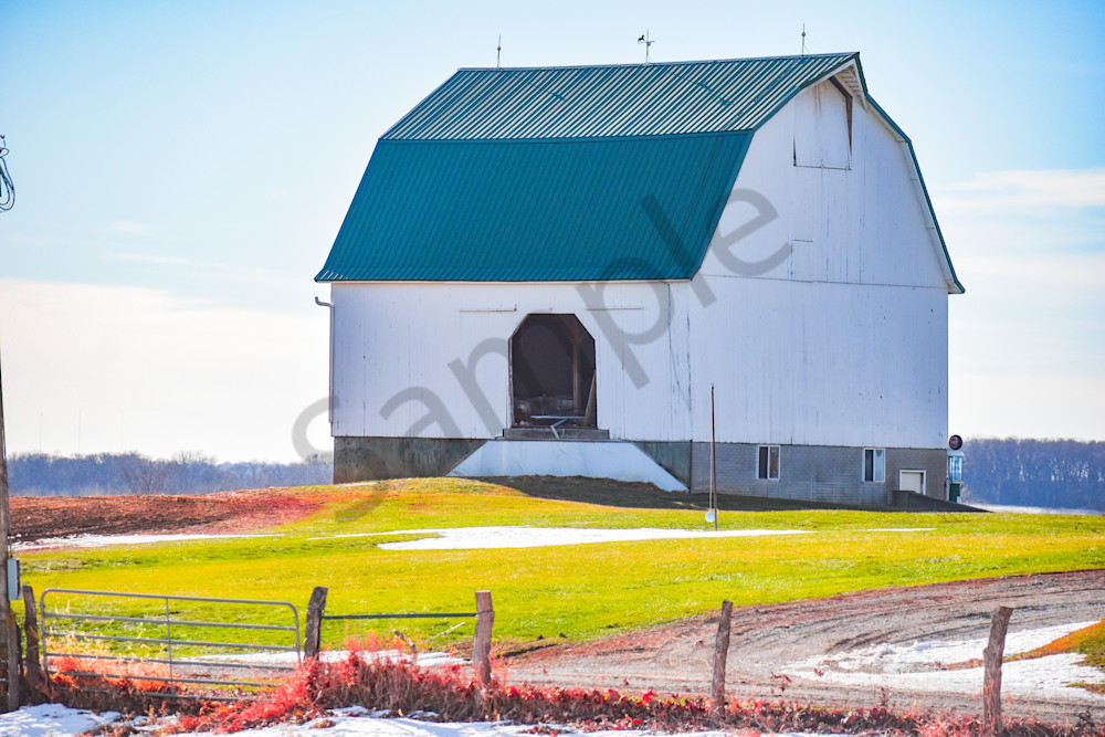 Dsc0121 3 Photography Art | Photos By Regan