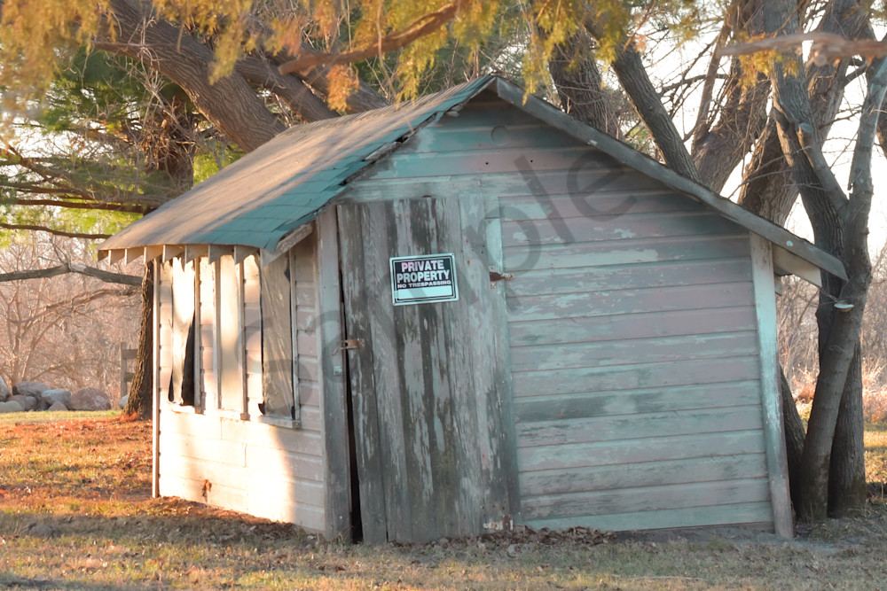 Dsc0067 8 Photography Art | Photos By Regan