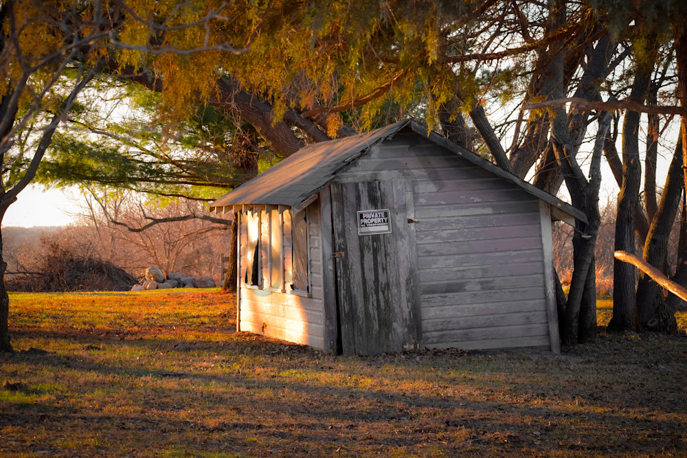 Dsc0065 4 Photography Art | Photos By Regan