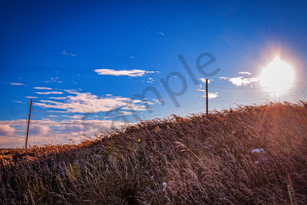 Dsc0011 16 Photography Art | Photos By Regan