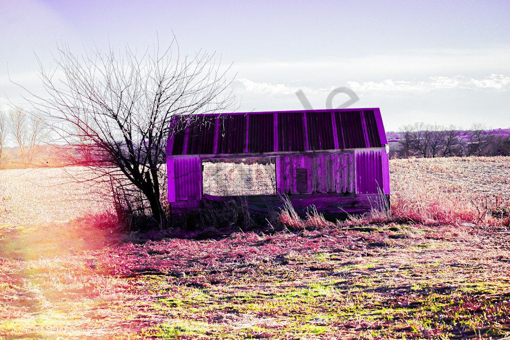 Dsc0056 3 Photography Art | Photos By Regan