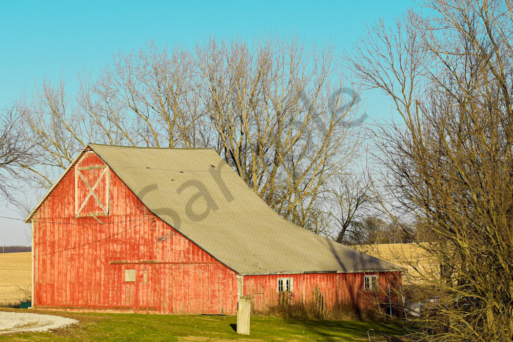 Dsc0054 4 Photography Art | Photos By Regan
