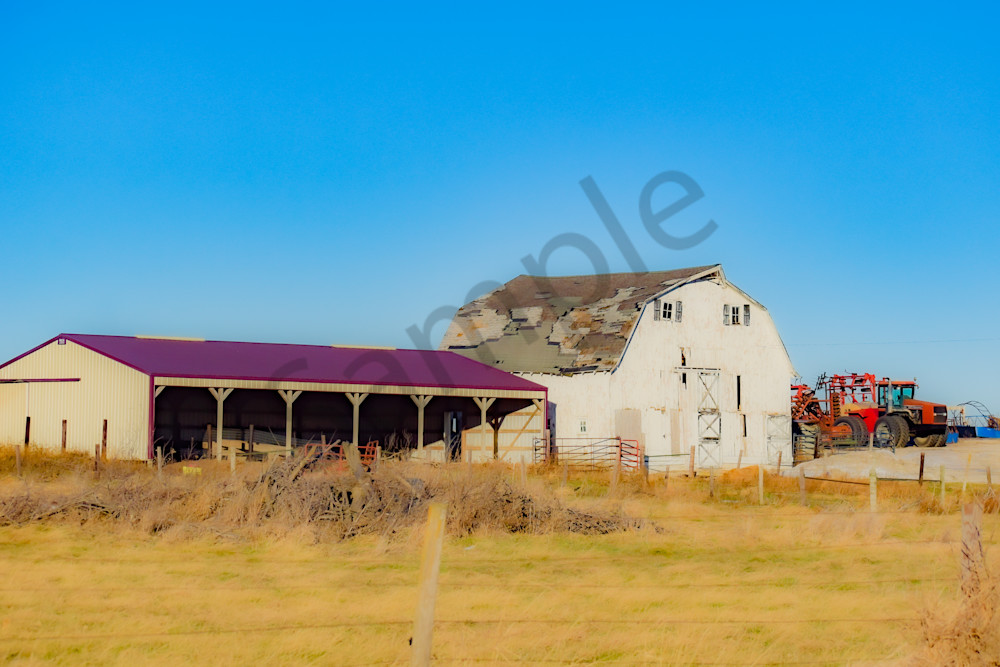 Dsc0044 4 Photography Art | Photos By Regan