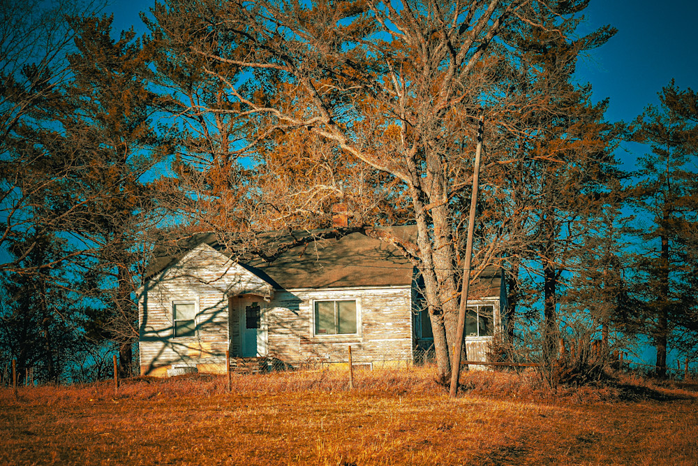 Dsc0004 10 Photography Art | Photos By Regan