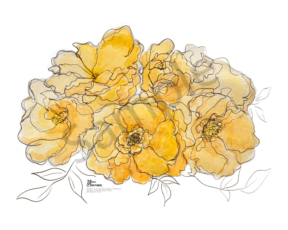 golden unicorn buck rose watercolor and ink for 8x10 © Marie Stephens Art