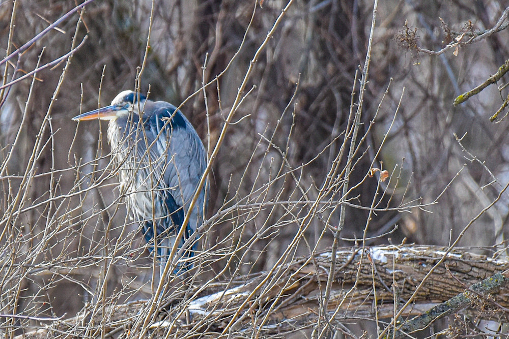 Dsc0855 Photography Art | Photos By Regan