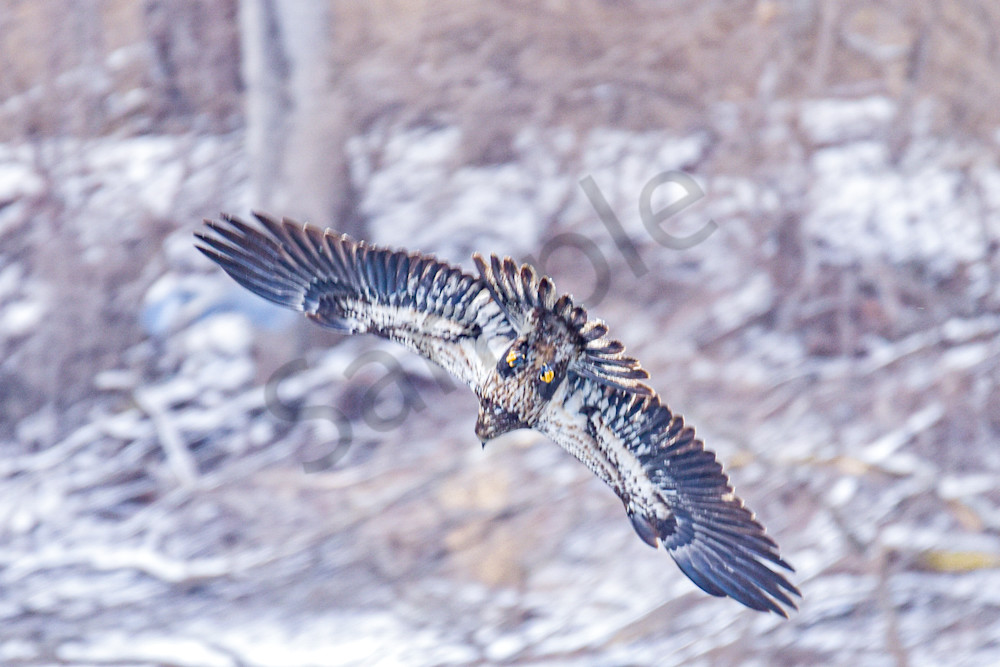 Dsc0725 Photography Art | Photos By Regan
