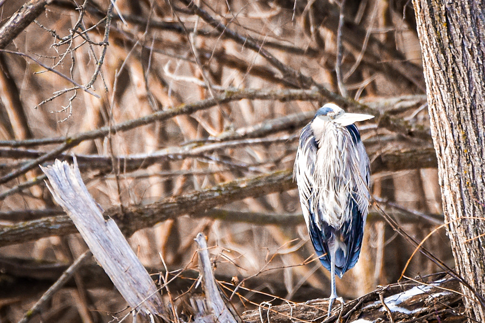 Dsc0851 Photography Art | Photos By Regan
